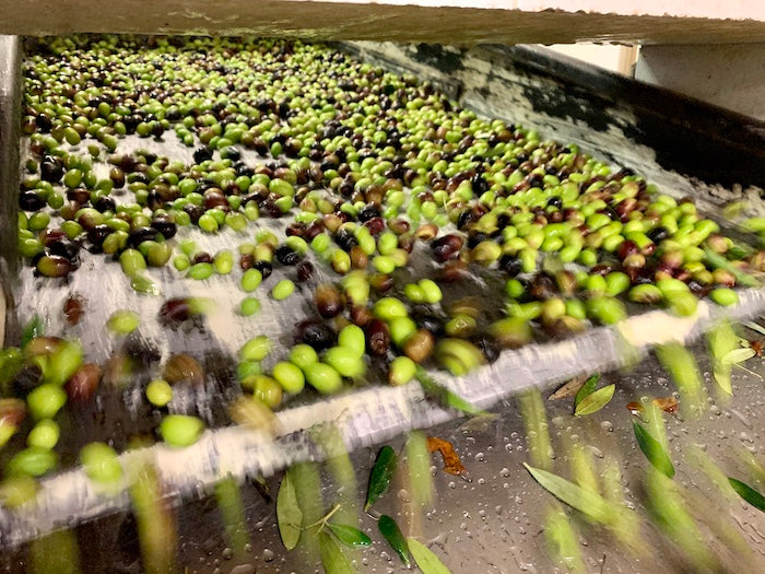 Olive Mill Wastewater